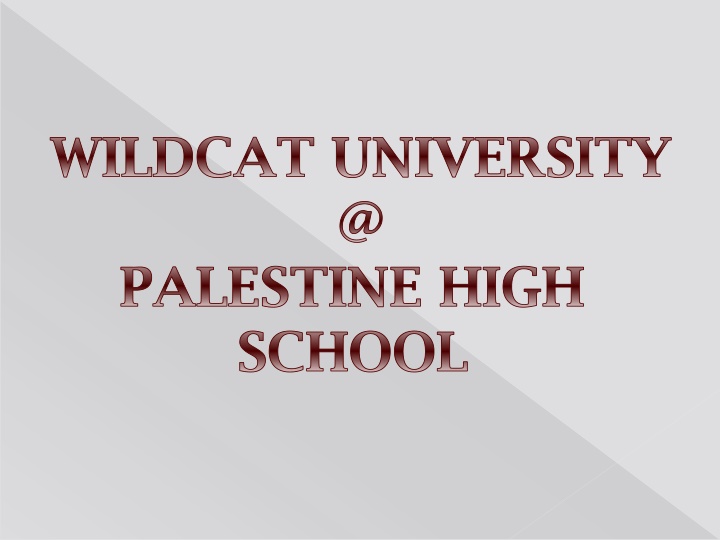 wildcat university @ palestine high school