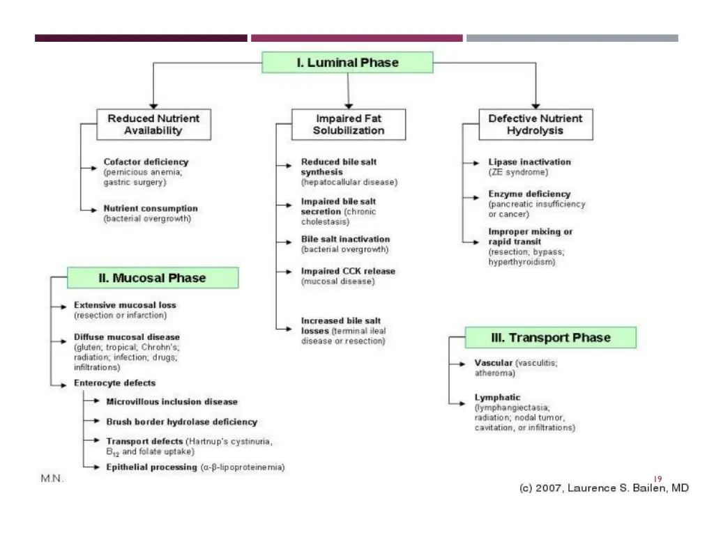 slide19