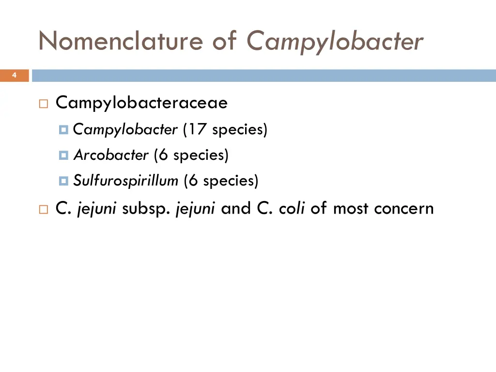 nomenclature of campylobacter