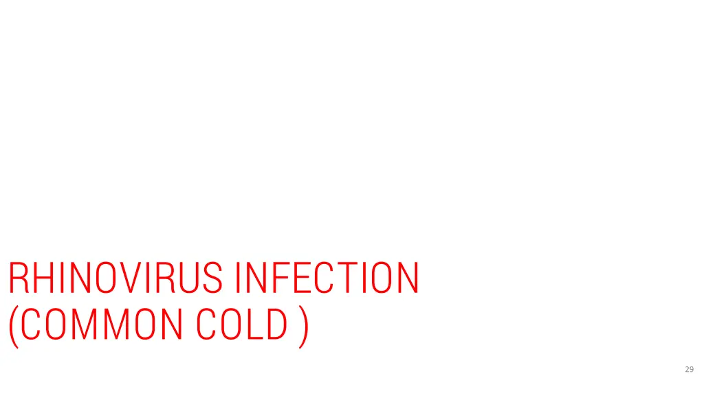 rhinovirus infection common cold
