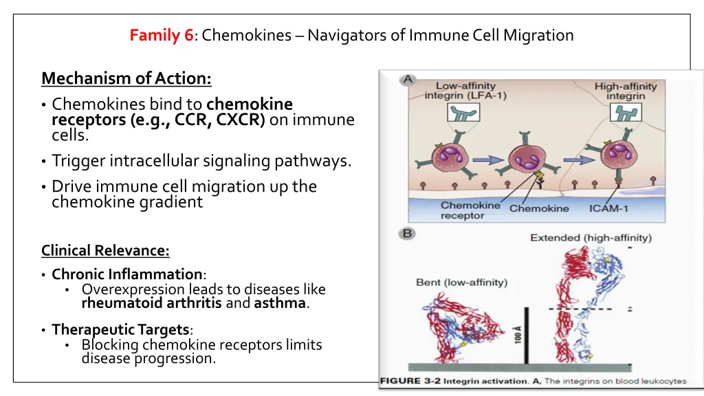 family 6 chemokines navigators of immune cell 1