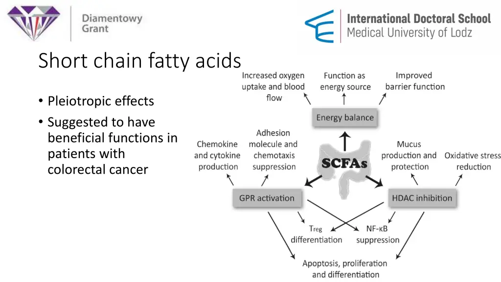 short chain fatty acids