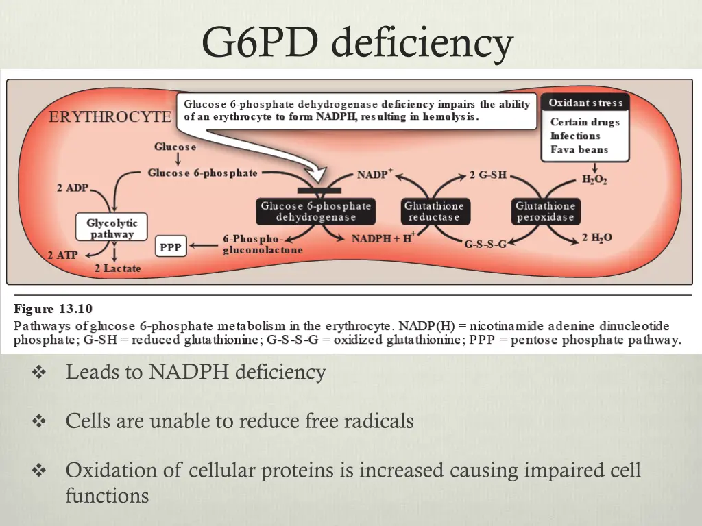 g6pd deficiency