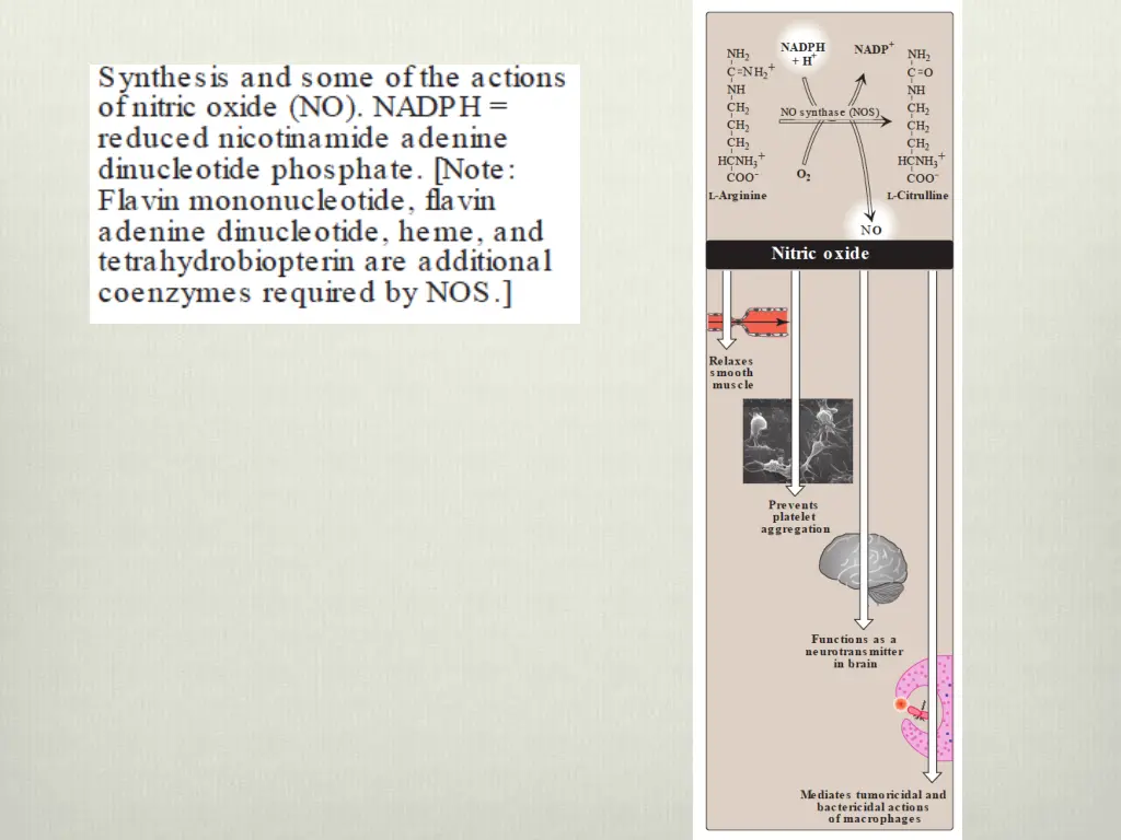 slide14