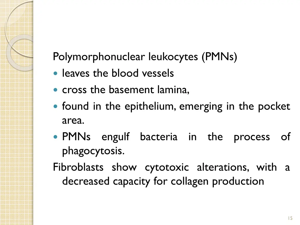 polymorphonuclear leukocytes pmns leaves