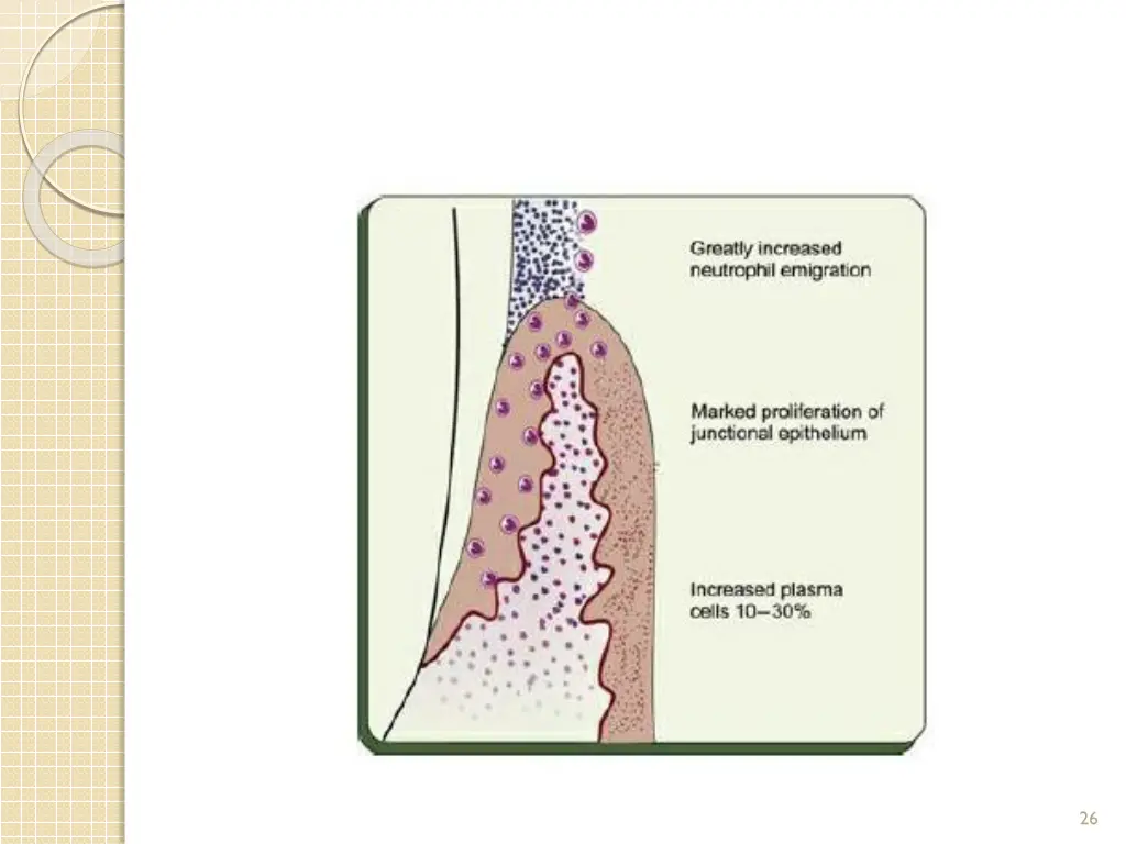 slide26