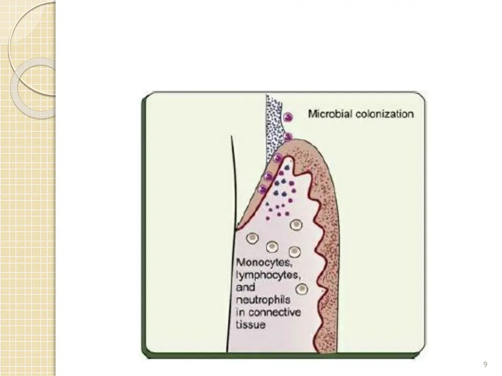 slide9
