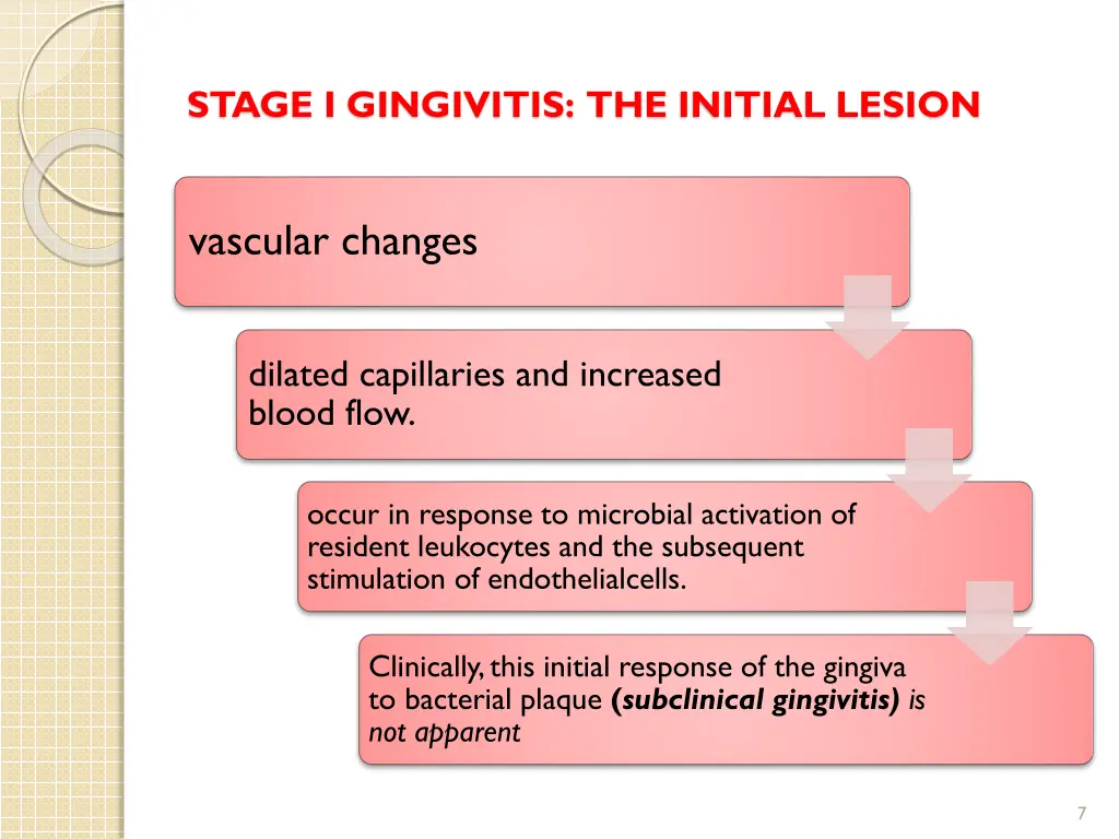 stage i gingivitis the initial lesion