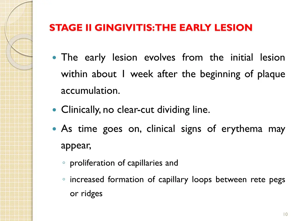 stage ii gingivitis the early lesion