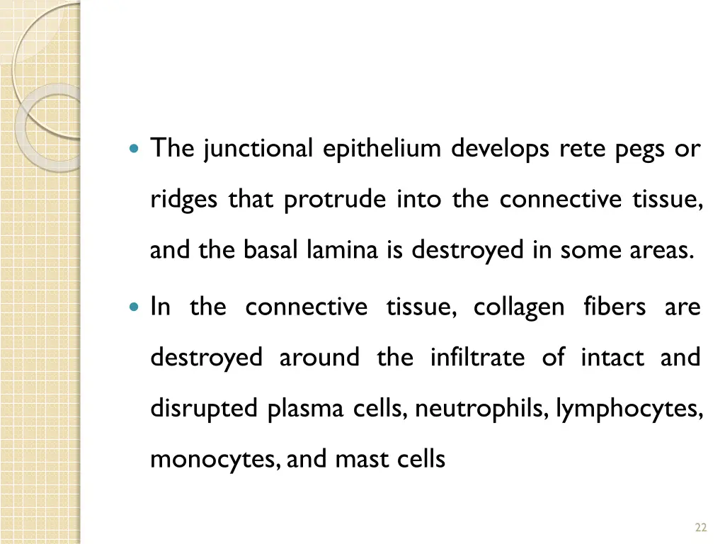 the junctional epithelium develops rete pegs or