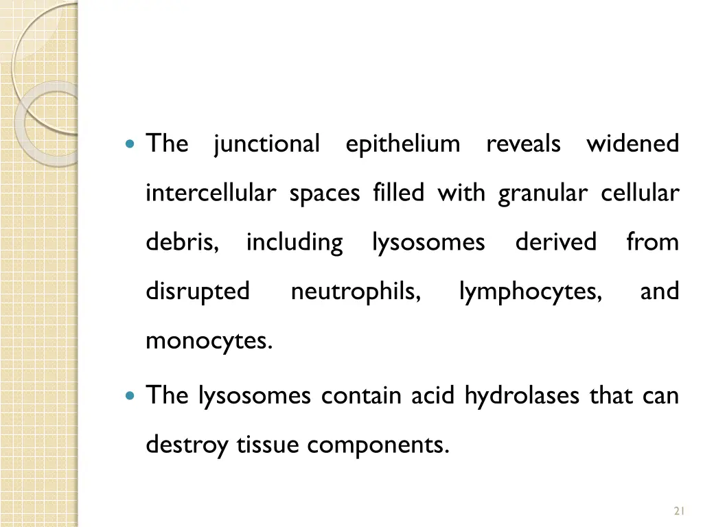 the junctional epithelium reveals widened