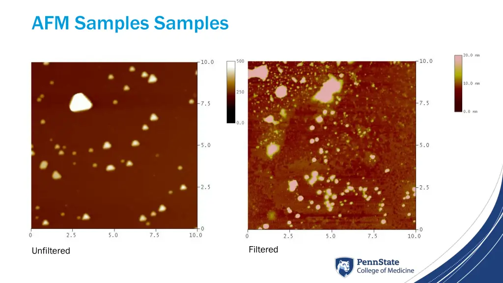 afm samples samples