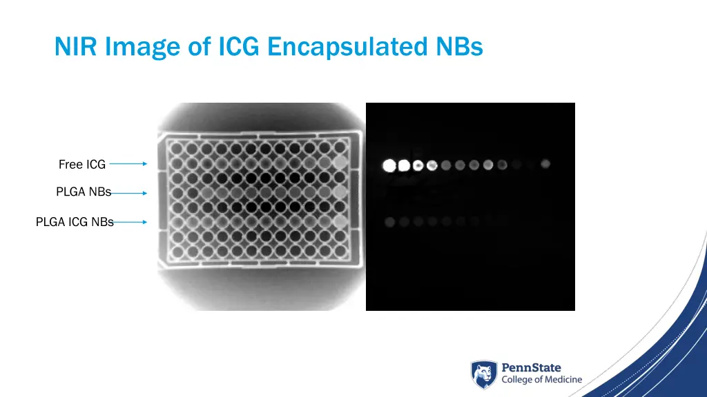 nir image of icg encapsulated nbs
