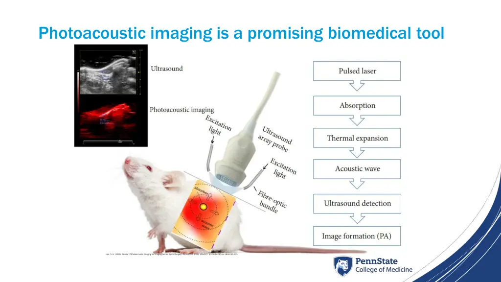 photoacoustic imaging is a promising biomedical