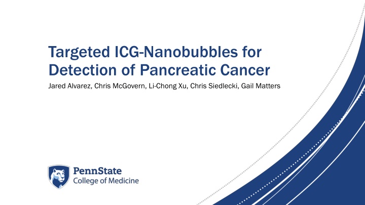targeted icg nanobubbles for detection