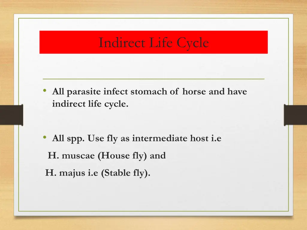 indirect life cycle