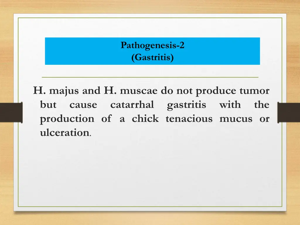 pathogenesis 2 gastritis