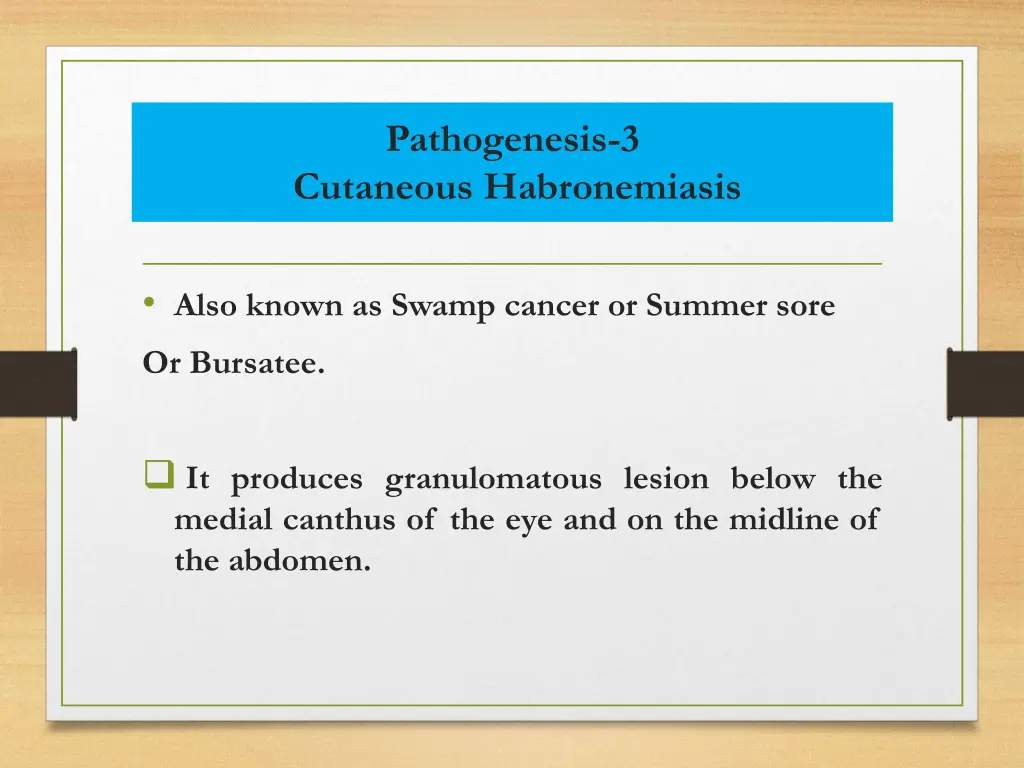pathogenesis 3 cutaneous habronemiasis