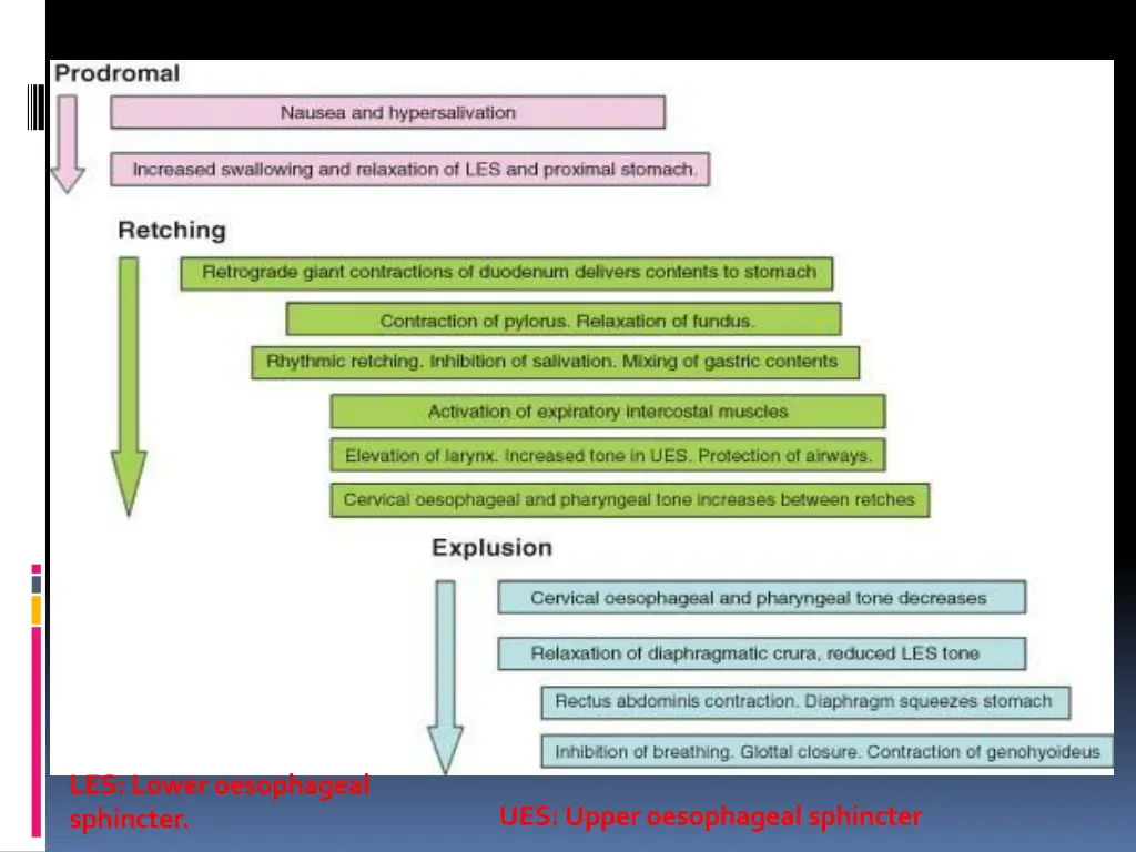 les lower oesophageal sphincter