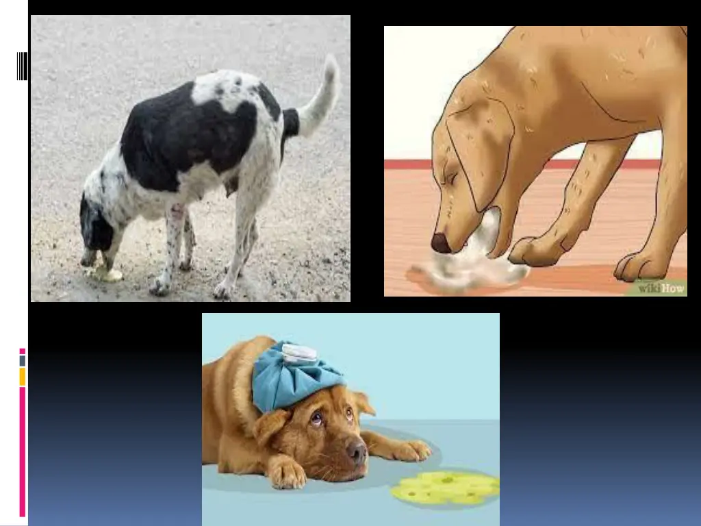 slide13