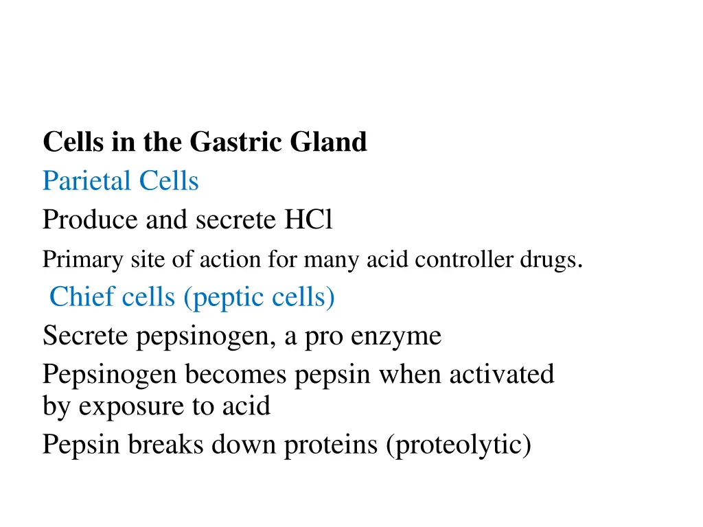 cells in the gastric gland parietal cells produce