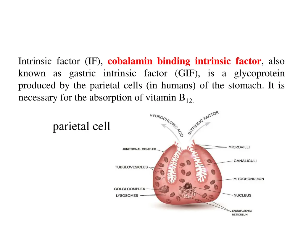 intrinsic factor if cobalamin binding intrinsic