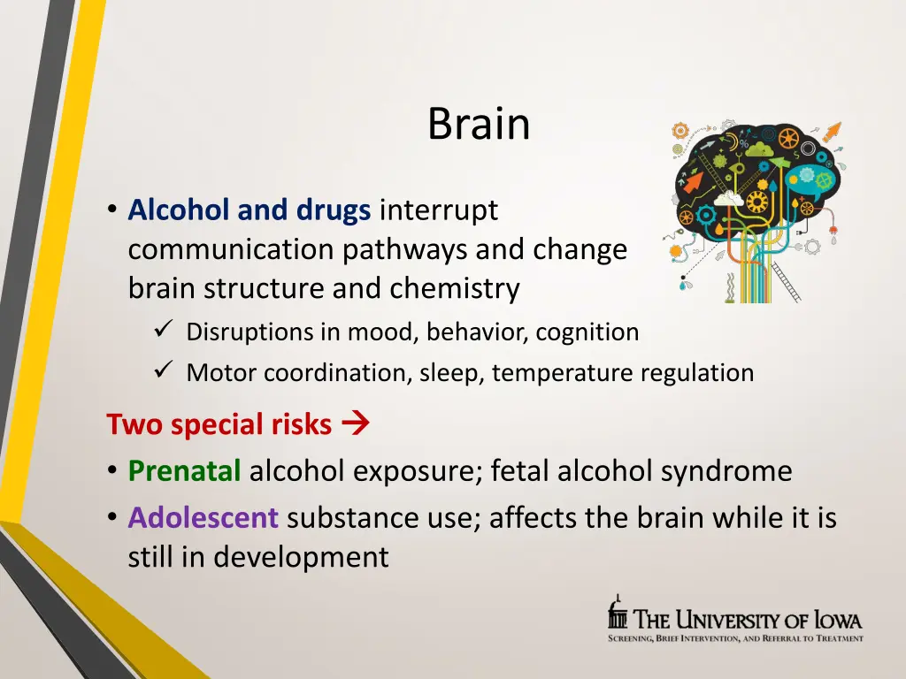 brain