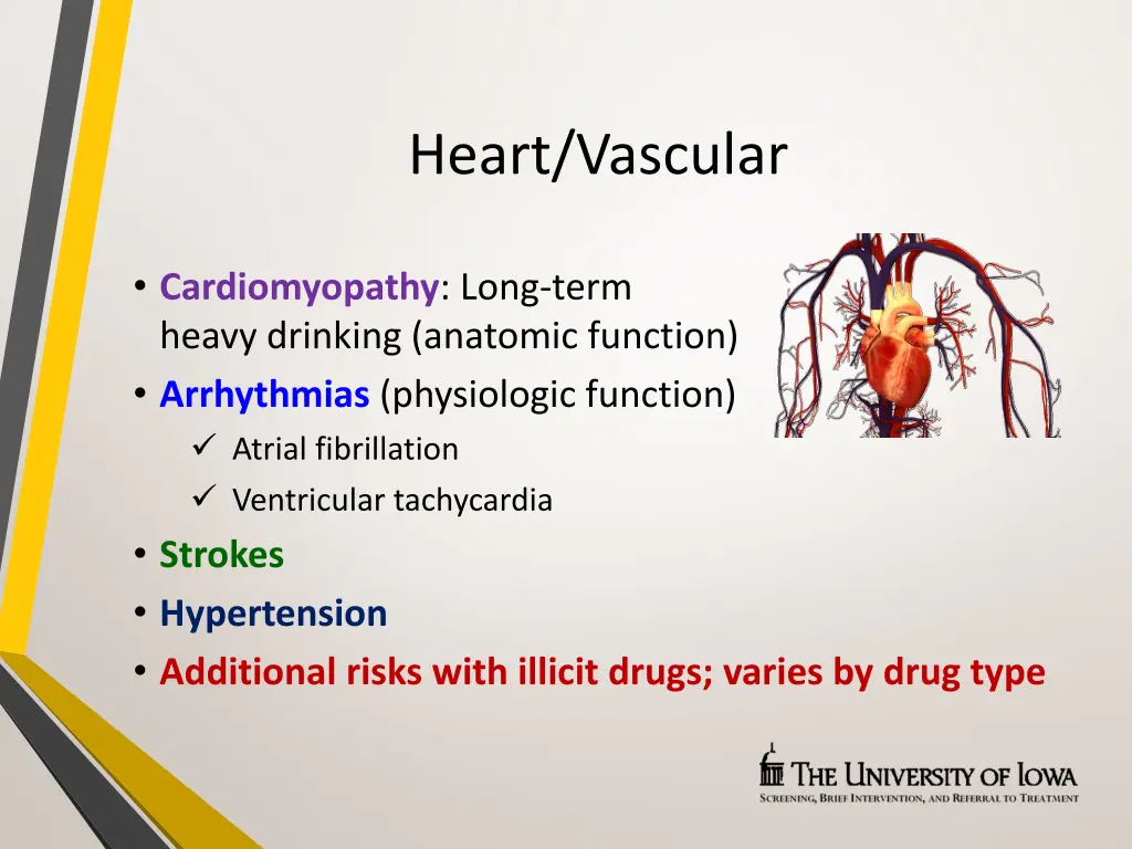 heart vascular