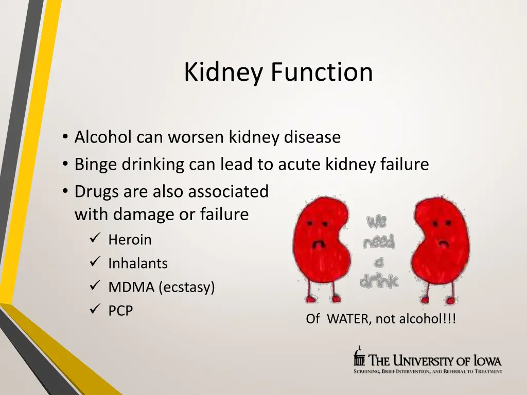 kidney function