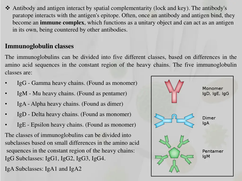 antibody and antigen interact by spatial