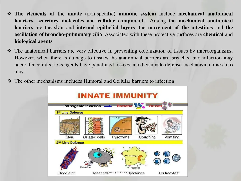 the elements of the innate non specific immune