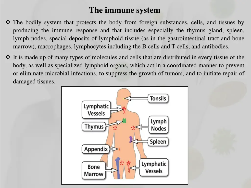 the immune system
