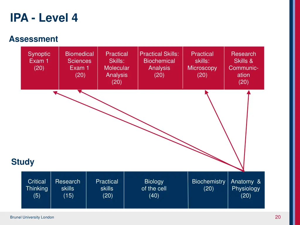 ipa level 4 2