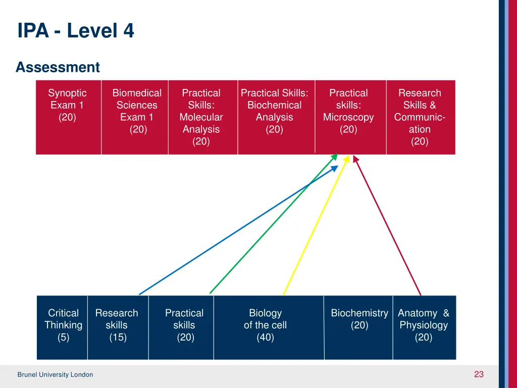 ipa level 4 5