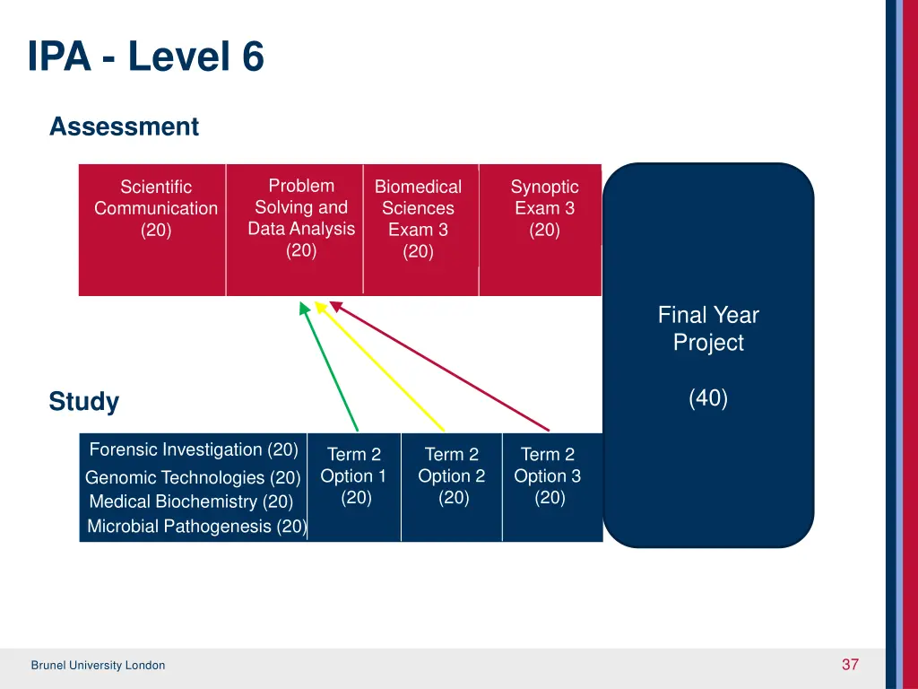 ipa level 6 2