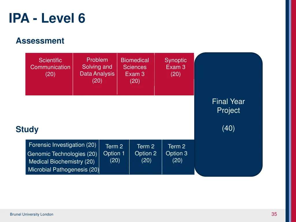 ipa level 6
