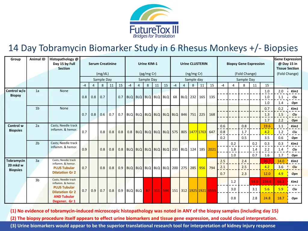 14 day tobramycin biomarker study in 6 rhesus
