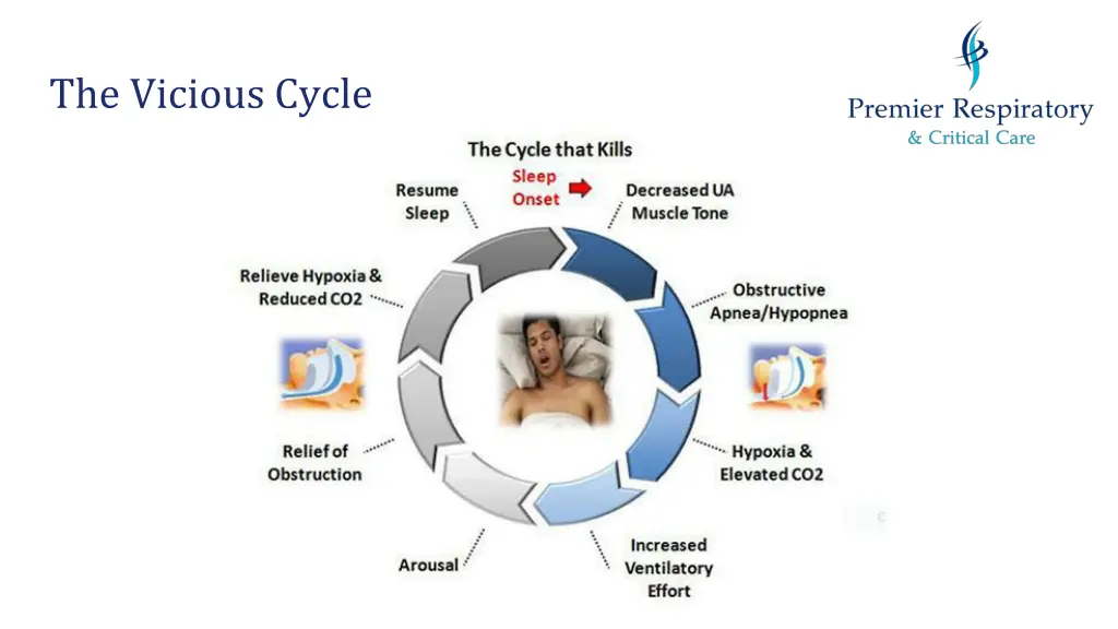 the vicious cycle