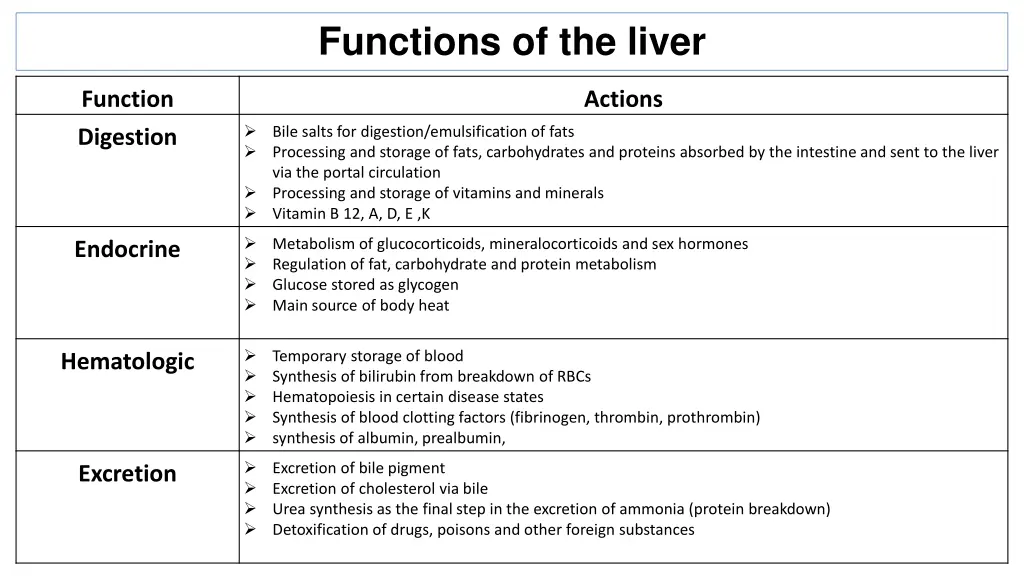 functions of the liver
