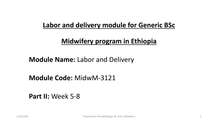 labor and delivery module for generic bsc