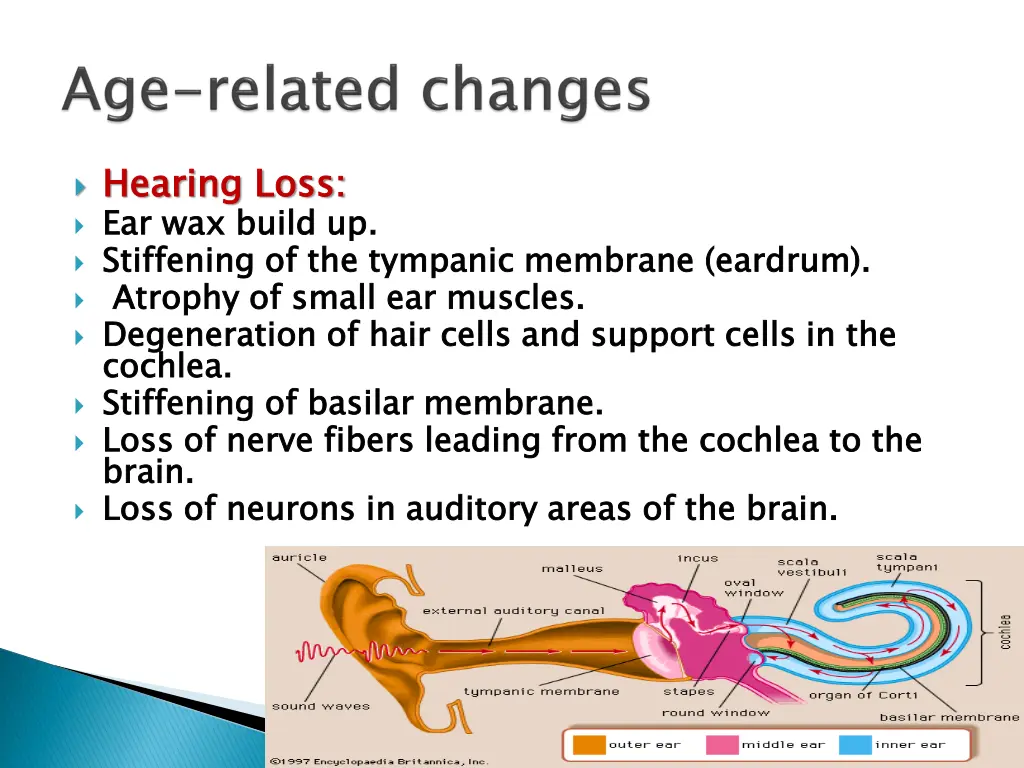 hearing loss ear wax build up stiffening
