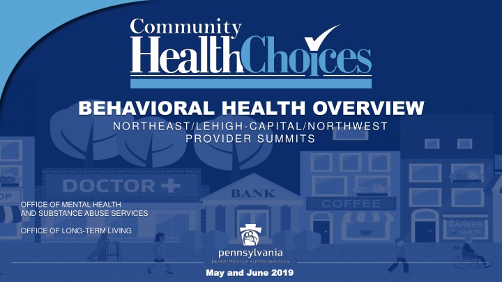 behavioral health overview northeast lehigh