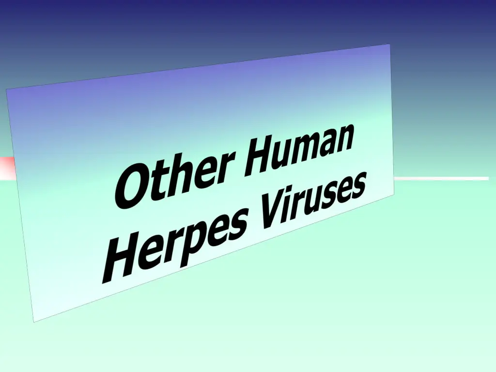 slide23