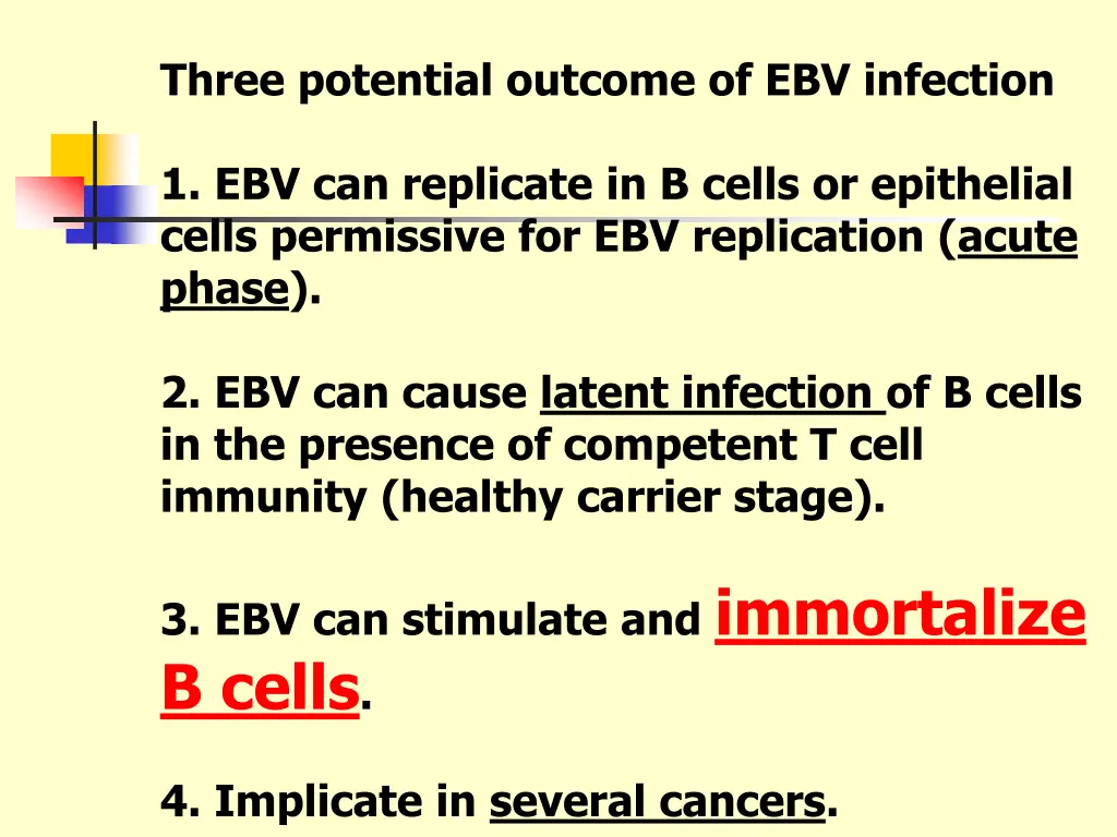 three potential outcome of ebv infection