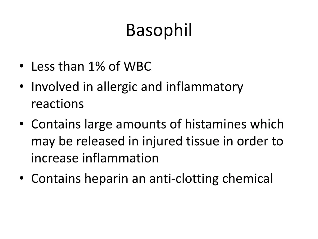 basophil