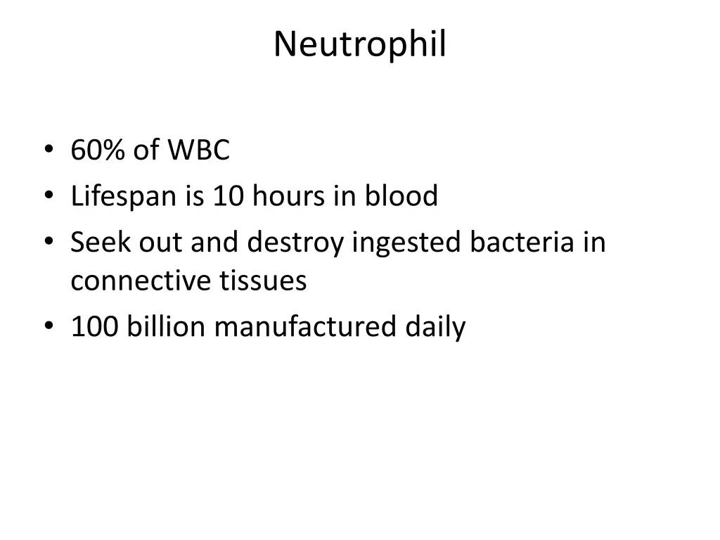 neutrophil