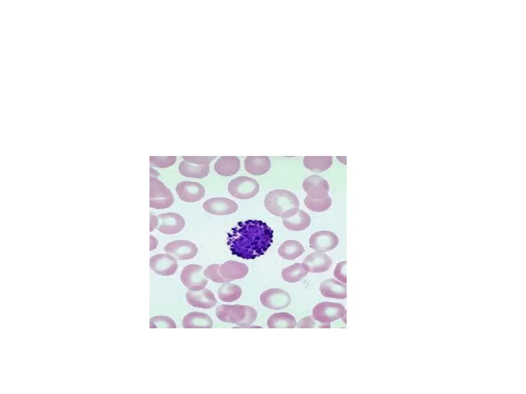 slide24