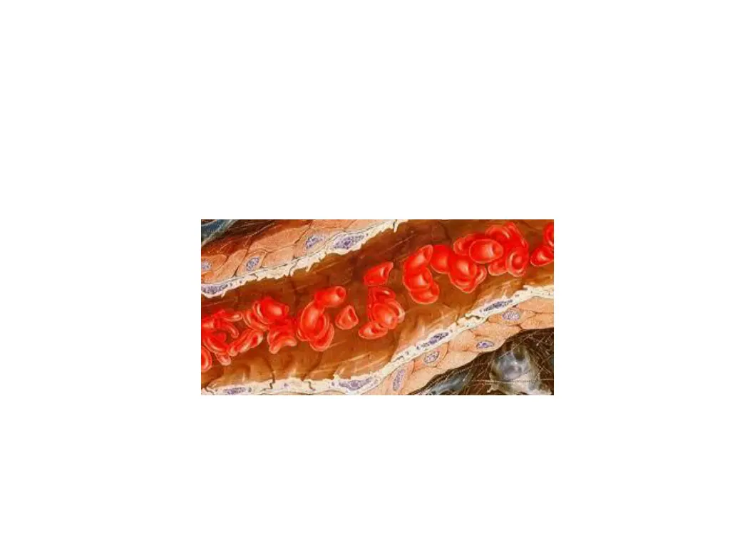 slide4