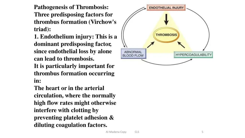 pathogenesis of thrombosis three predisposing