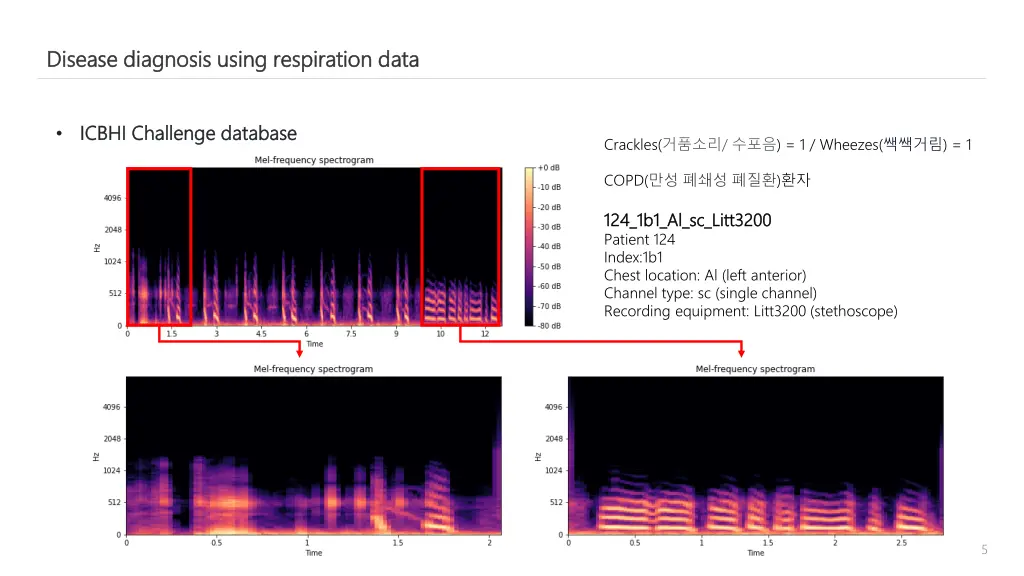 disease diagnosis using respiration data disease 2